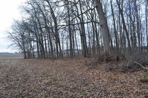 Property photo 87 - 98+/- Acres Offered in 6 Tracts or Combinations, Noble County, Indiana Farm